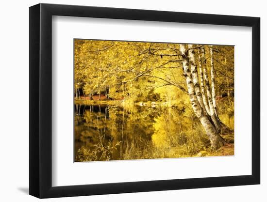 For one more Fall-Philippe Sainte-Laudy-Framed Photographic Print