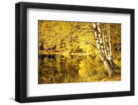 For one more Fall-Philippe Sainte-Laudy-Framed Photographic Print