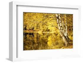 For one more Fall-Philippe Sainte-Laudy-Framed Photographic Print