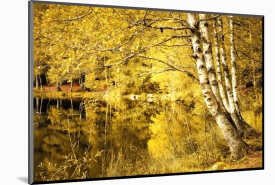 For one more Fall-Philippe Sainte-Laudy-Mounted Photographic Print