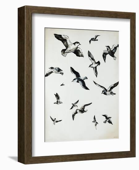 For the Birds-Sydney Edmunds-Framed Giclee Print