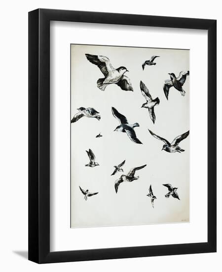 For the Birds-Sydney Edmunds-Framed Giclee Print