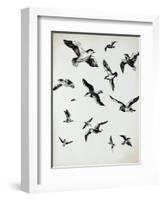 For the Birds-Sydney Edmunds-Framed Giclee Print