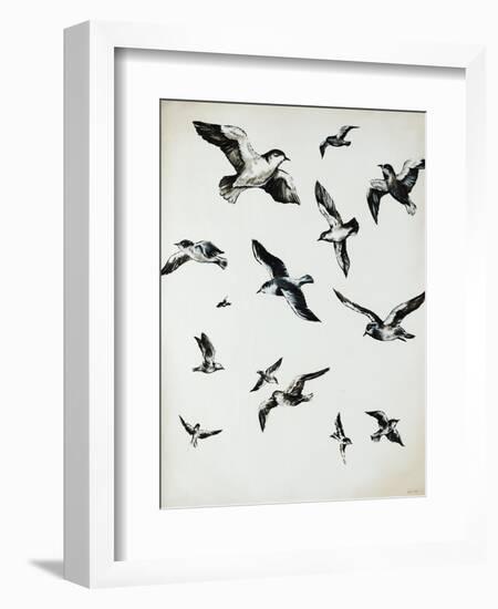 For the Birds-Sydney Edmunds-Framed Giclee Print