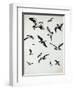 For the Birds-Sydney Edmunds-Framed Giclee Print