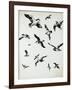 For the Birds-Sydney Edmunds-Framed Giclee Print