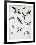 For the Birds-Sydney Edmunds-Framed Giclee Print