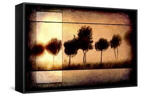 For the Love of Trees I-LightBoxJournal-Framed Stretched Canvas