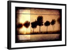 For the Love of Trees I-LightBoxJournal-Framed Giclee Print