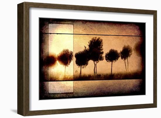 For the Love of Trees I-LightBoxJournal-Framed Giclee Print