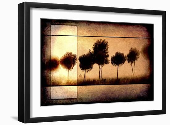 For the Love of Trees I-LightBoxJournal-Framed Giclee Print