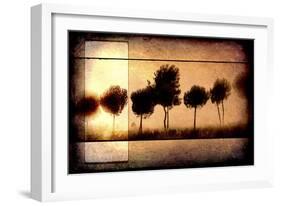 For the Love of Trees I-LightBoxJournal-Framed Giclee Print