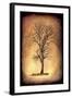 For the Love of Trees II-LightBoxJournal-Framed Giclee Print