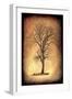 For the Love of Trees II-LightBoxJournal-Framed Giclee Print