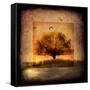 For the Love of Trees III-LightBoxJournal-Framed Stretched Canvas