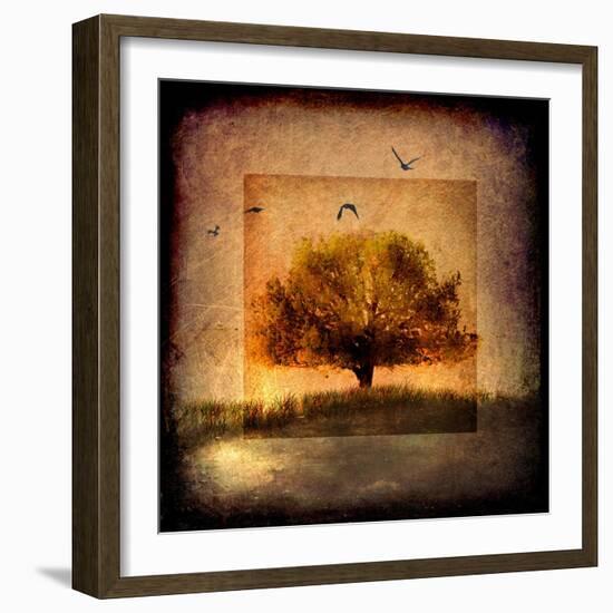 For the Love of Trees III-LightBoxJournal-Framed Giclee Print