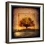 For the Love of Trees III-LightBoxJournal-Framed Giclee Print