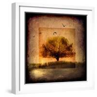 For the Love of Trees III-LightBoxJournal-Framed Giclee Print