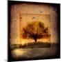For the Love of Trees III-LightBoxJournal-Mounted Giclee Print