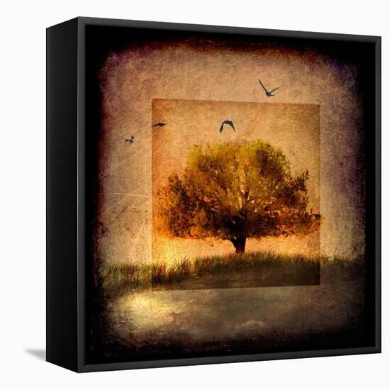 For the Love of Trees III-LightBoxJournal-Framed Stretched Canvas