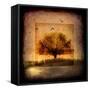 For the Love of Trees III-LightBoxJournal-Framed Stretched Canvas