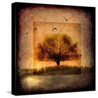 For the Love of Trees III-LightBoxJournal-Stretched Canvas