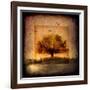 For the Love of Trees III-LightBoxJournal-Framed Giclee Print