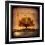 For the Love of Trees III-LightBoxJournal-Framed Giclee Print