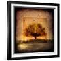 For the Love of Trees III-LightBoxJournal-Framed Giclee Print