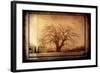 For the Love of Trees IV-LightBoxJournal-Framed Giclee Print