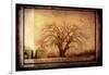 For the Love of Trees IV-LightBoxJournal-Framed Giclee Print