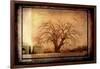 For the Love of Trees IV-LightBoxJournal-Framed Giclee Print