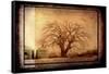 For the Love of Trees IV-LightBoxJournal-Framed Stretched Canvas