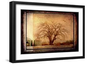 For the Love of Trees IV-LightBoxJournal-Framed Giclee Print