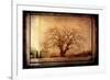 For the Love of Trees IV-LightBoxJournal-Framed Giclee Print