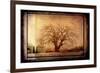 For the Love of Trees IV-LightBoxJournal-Framed Giclee Print