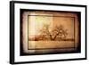 For the Love of Trees V-LightBoxJournal-Framed Giclee Print