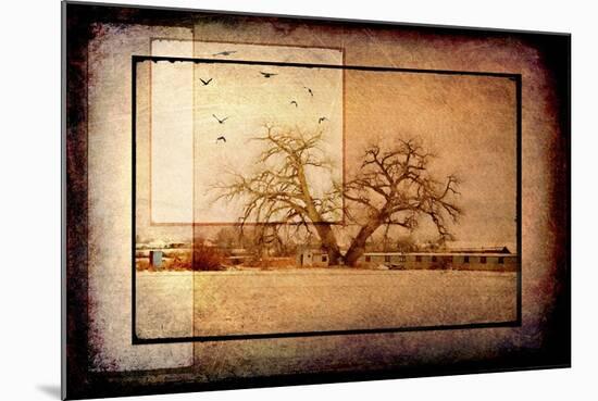 For the Love of Trees V-LightBoxJournal-Mounted Giclee Print