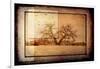 For the Love of Trees V-LightBoxJournal-Framed Giclee Print