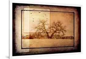 For the Love of Trees V-LightBoxJournal-Framed Giclee Print