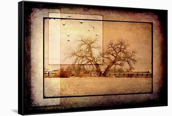 For the Love of Trees V-LightBoxJournal-Framed Stretched Canvas