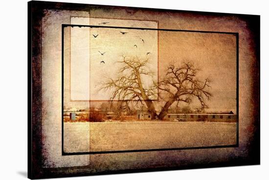 For the Love of Trees V-LightBoxJournal-Stretched Canvas