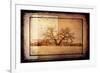 For the Love of Trees V-LightBoxJournal-Framed Giclee Print