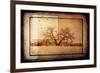 For the Love of Trees V-LightBoxJournal-Framed Giclee Print