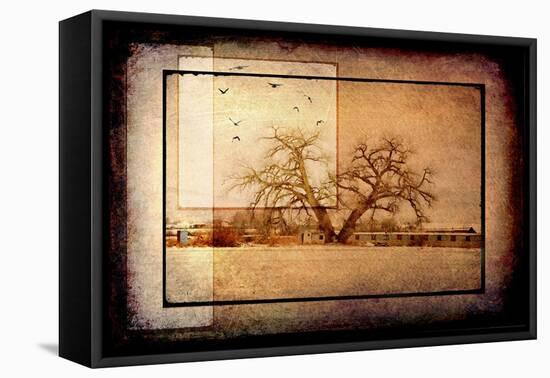 For the Love of Trees V-LightBoxJournal-Framed Stretched Canvas