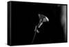 For You-Sebastian Black-Framed Stretched Canvas