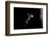 For You-Sebastian Black-Framed Photo