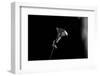 For You-Sebastian Black-Framed Photo