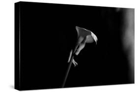 For You-Sebastian Black-Stretched Canvas