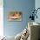 For Your Birthday, Cherub with Cake-null-Stretched Canvas displayed on a wall